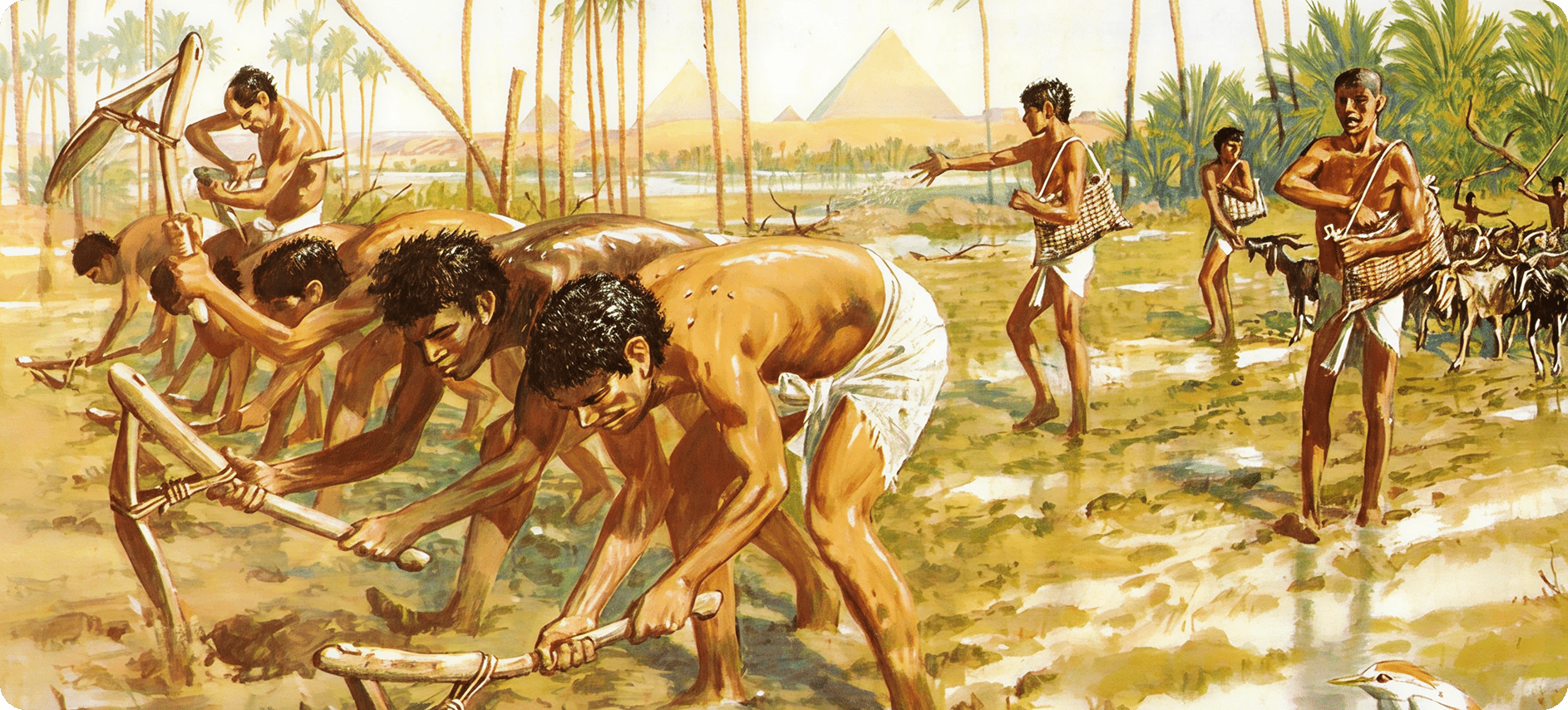 От неолитической революции до первых цивилизаций 